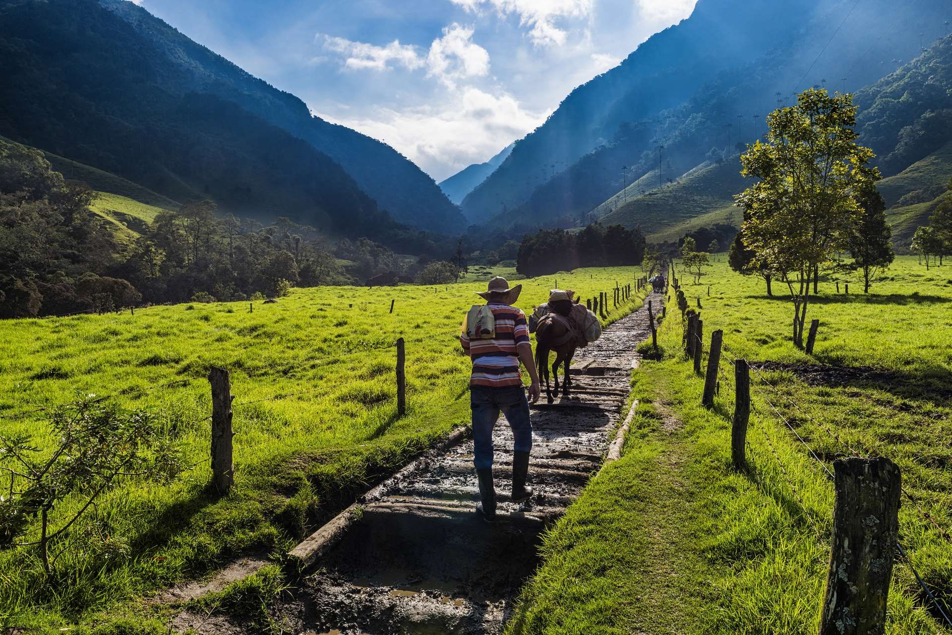 Cap sur la Colombie - 10J/8N - Limité à 14 pers. 2026 pas cher