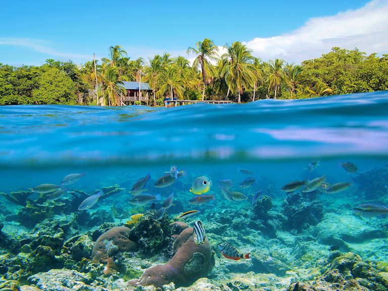 Découverte du Costa Rica avec séjour balnéaire au Panama - 3* pas cher photo 14