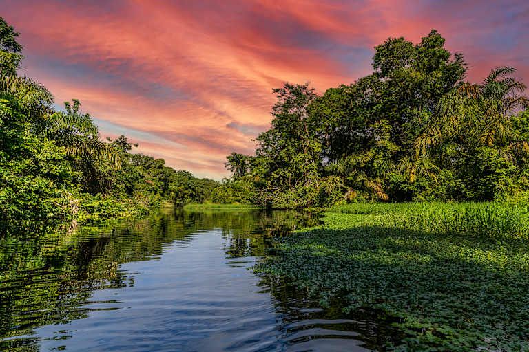 Découverte du Costa Rica avec séjour balnéaire au Panama - 3* pas cher photo 16