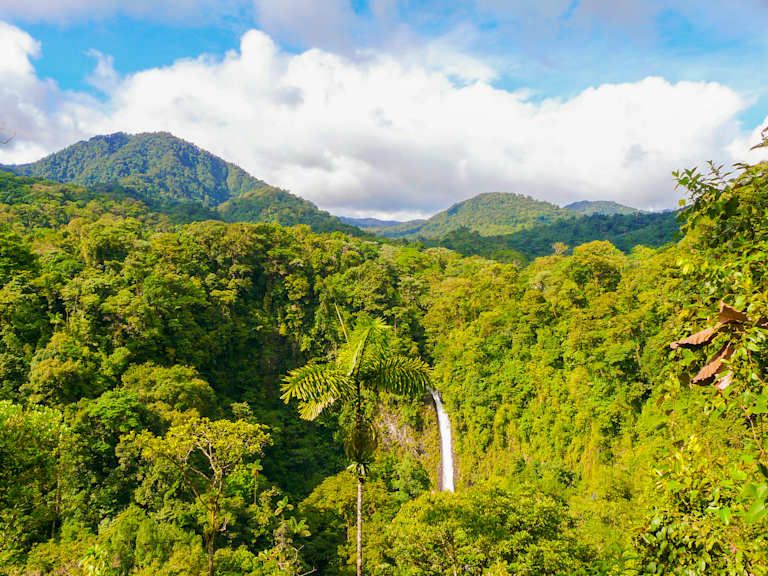 Découverte du Costa Rica avec séjour balnéaire au Panama - 3* pas cher photo 21