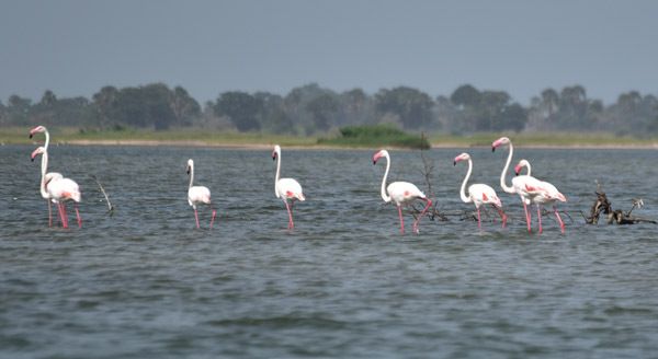 Circuit Privatif Du Siné Saloum aux Plages de la Petite Côte 3*-4* pas cher photo 1