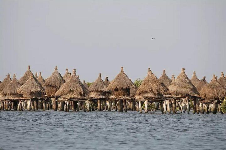 Circuit Privatif Du Siné Saloum aux Plages de la Petite Côte 3*-4* pas cher photo 8