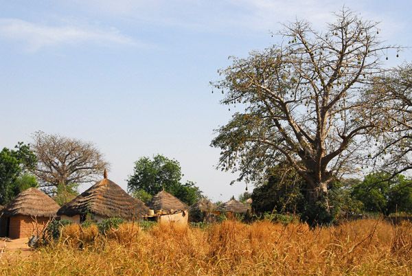 Circuit Privatif Du Siné Saloum aux Plages de la Petite Côte 3*-4* pas cher photo 14