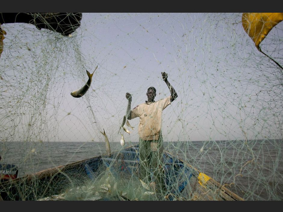 Circuit Privatif Du Siné Saloum aux Plages de la Petite Côte 3*-4* pas cher photo 15