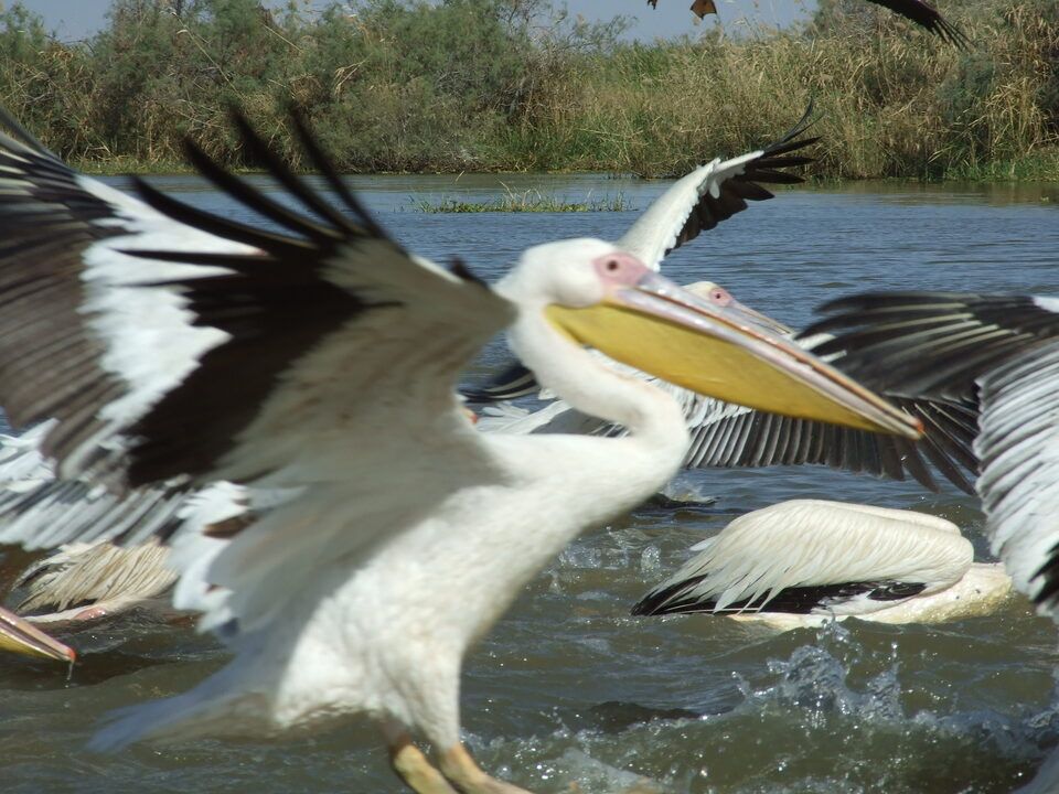 Circuit Privatif Du Siné Saloum aux Plages de la Petite Côte 3*-4* pas cher photo 19