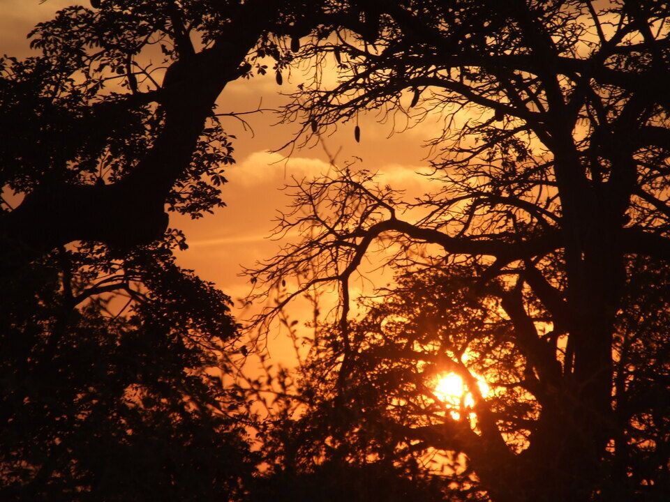 Circuit Privatif Du Siné Saloum aux Plages de la Petite Côte 3*-4* pas cher photo 20