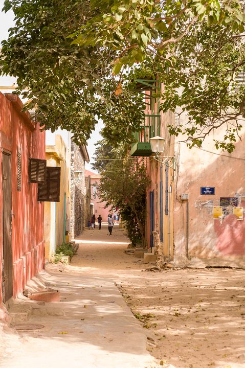 Circuit Privatif Du Siné Saloum aux Plages de la Petite Côte 3*-4* pas cher photo 35