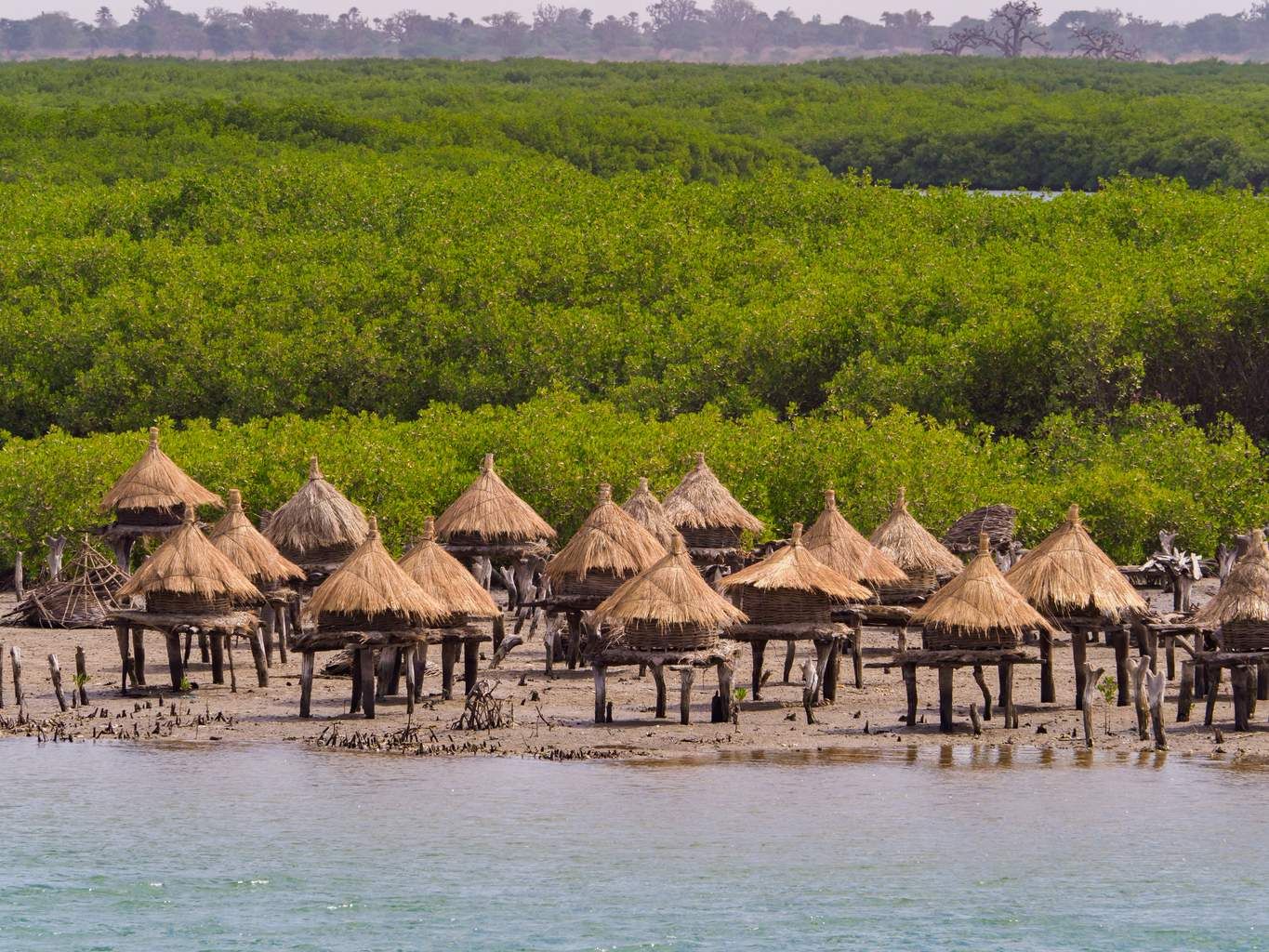Mon Circuit Privé du Siné Saloum aux Plages de la Petite Côte 3*-4* pas cher photo 3