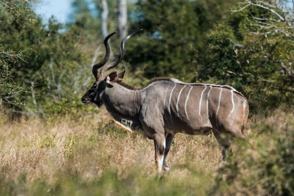 Circuit Aventures Australes, de l'Afrique du Sud au Botswana pas cher photo 16