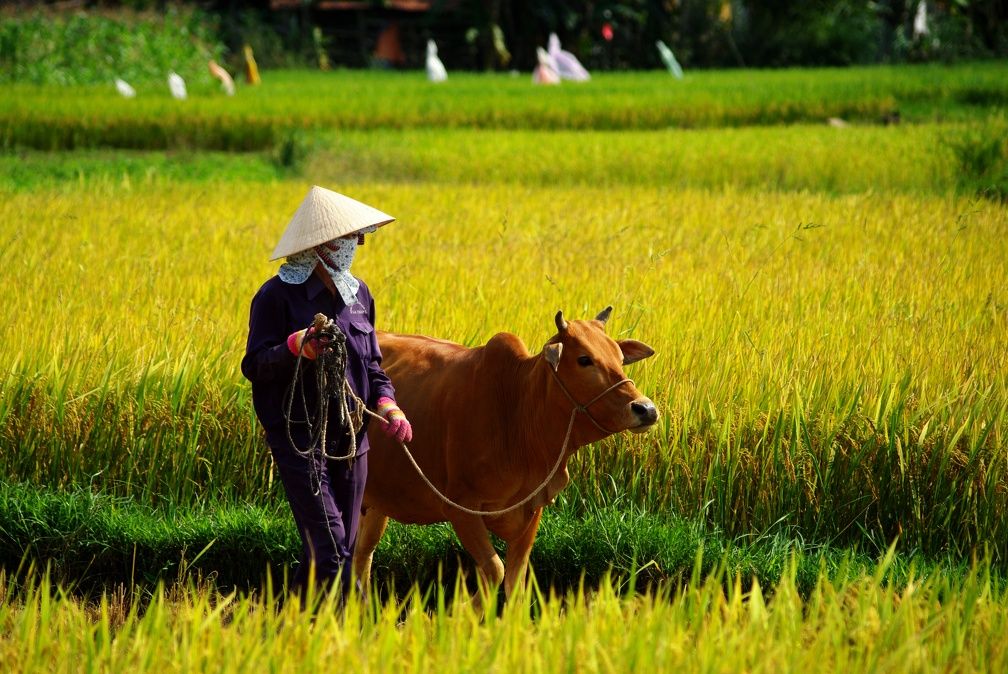 Combiné Chine & Vietnam - Sur la Route des Dragons 4* pas cher photo 18
