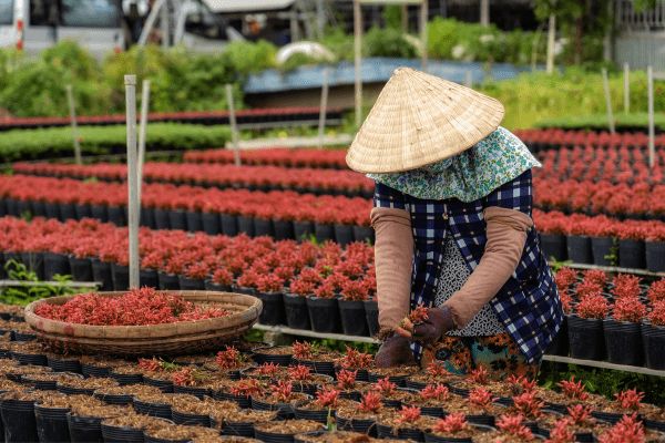 Circuit Vietnam, la perle d'Indochine 4/5* pas cher photo 16