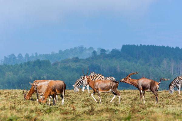 FLEX Circuit Les Trésors du Pays Arc-en-Ciel en Privatif pas cher photo 17