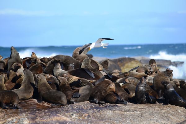 Circuit Les Trésors du Pays Arc-en-Ciel en hôtels de Charme et Privatif pas cher photo 10
