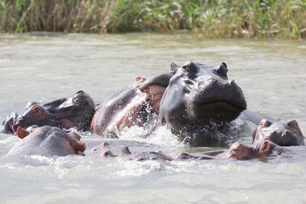 Circuit Les Trésors du Pays Arc-en-Ciel en hôtels de Charme et Privatif pas cher photo 19