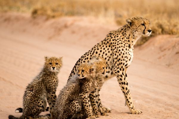 Circuit Les Trésors du Pays Arc-en-Ciel en hôtels de Charme et Privatif pas cher photo 21