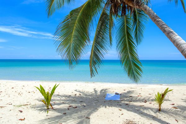 Circuit Lotus de Thaïlande et plage de Koh Chang 5* pas cher photo 22