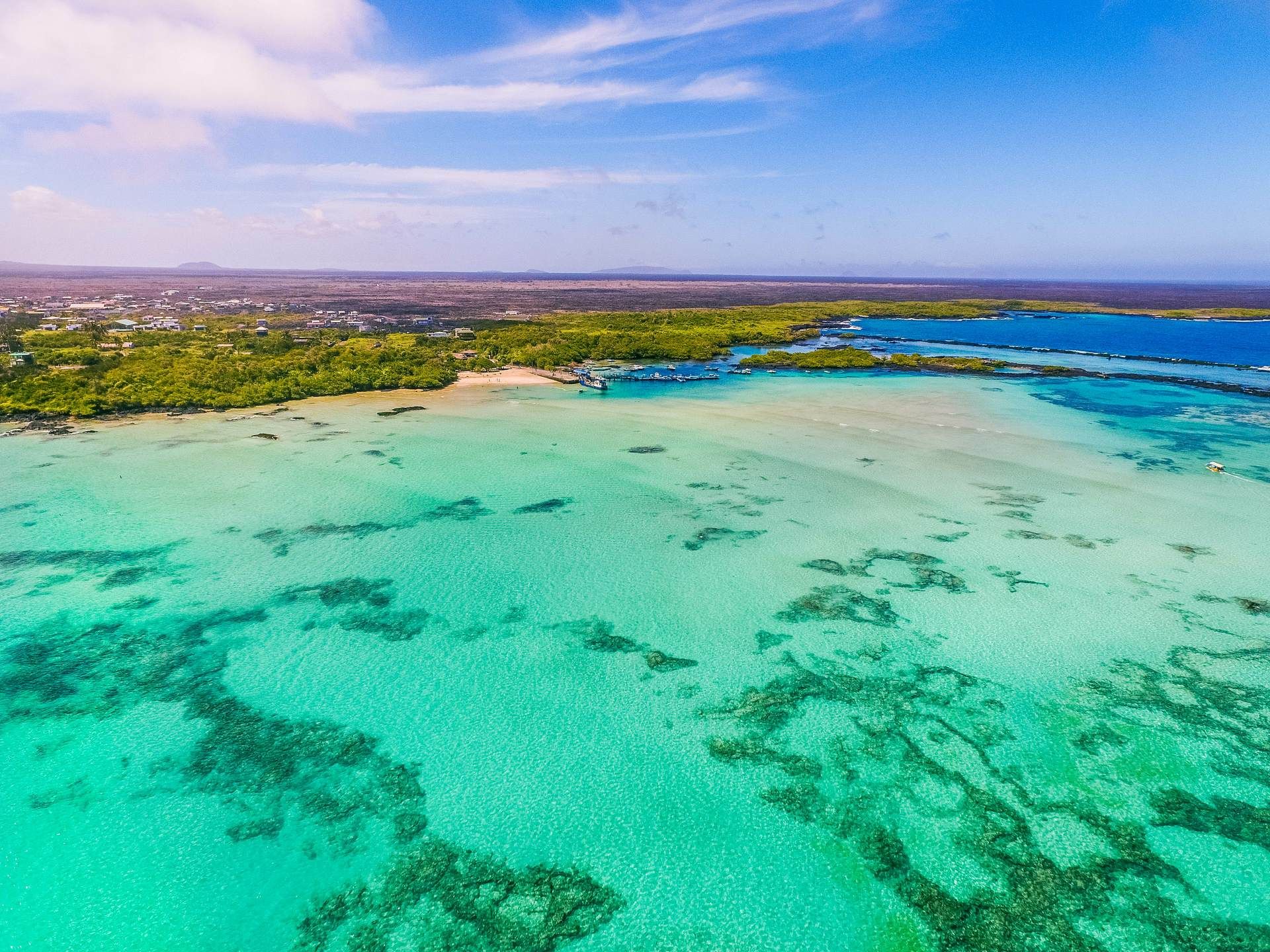Trésors de l'Equateur et des Galapagos - 13J/11N - Limité à 16 pers. - 2026 pas cher photo 2