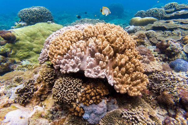 Circuit Panorama Balinais, Cap sur Nusa Penida en Liberté pas cher photo 22