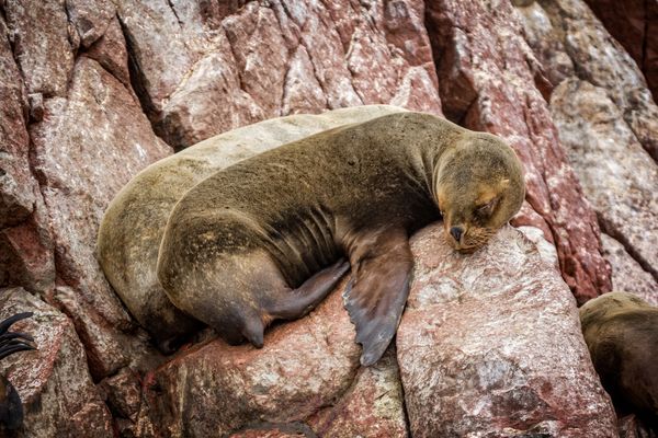 Circuit Mythes et Légendes Péruviens pas cher photo 6