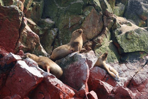 Circuit Mythes et Légendes Péruviens pas cher photo 10