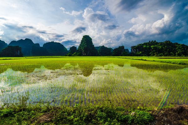 Circuit Aux origines du Vietnam : de Mu Cang Chai à Ta Giang Phin pas cher photo 14