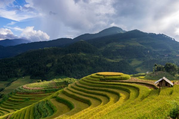 Circuit Aux origines du Vietnam : de Mu Cang Chai à Ta Giang Phin pas cher photo 26