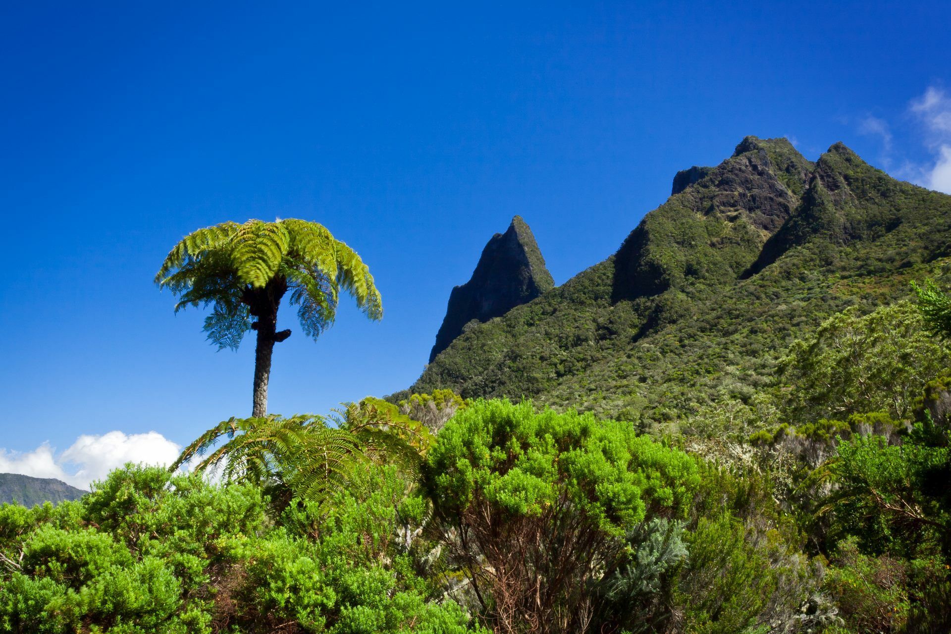 La Réunion, Joyau de l'Océan Indien - Ext. Maurice - 14J/11N - 2026 pas cher photo 1