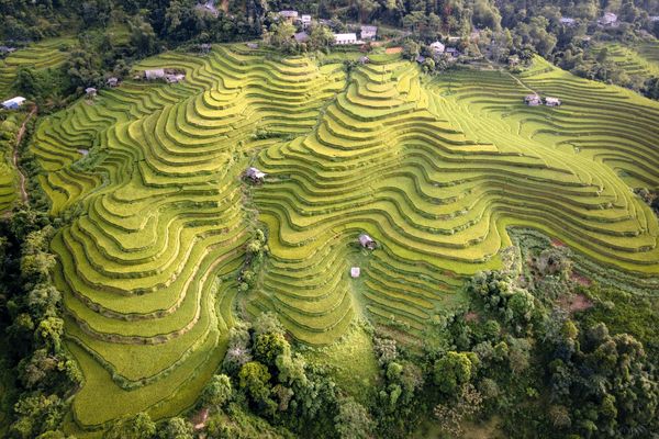 Circuit Sur les traces des Minorités : Nord Vietnam et Baie d'Halong pas cher photo 1