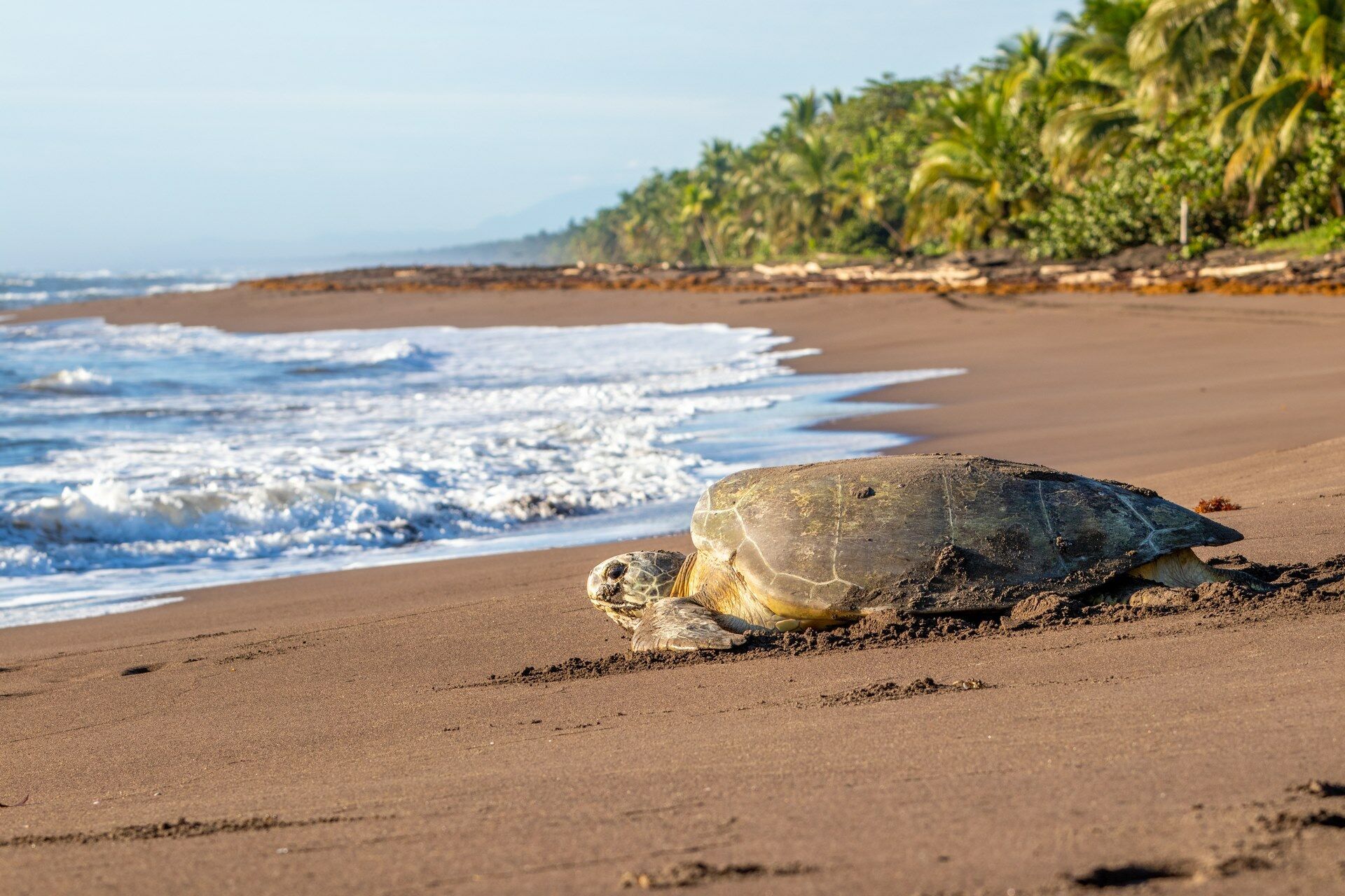 Cap sur le Costa Rica - 10J/8N - 2026 - Limité à 20 pers. pas cher photo 3