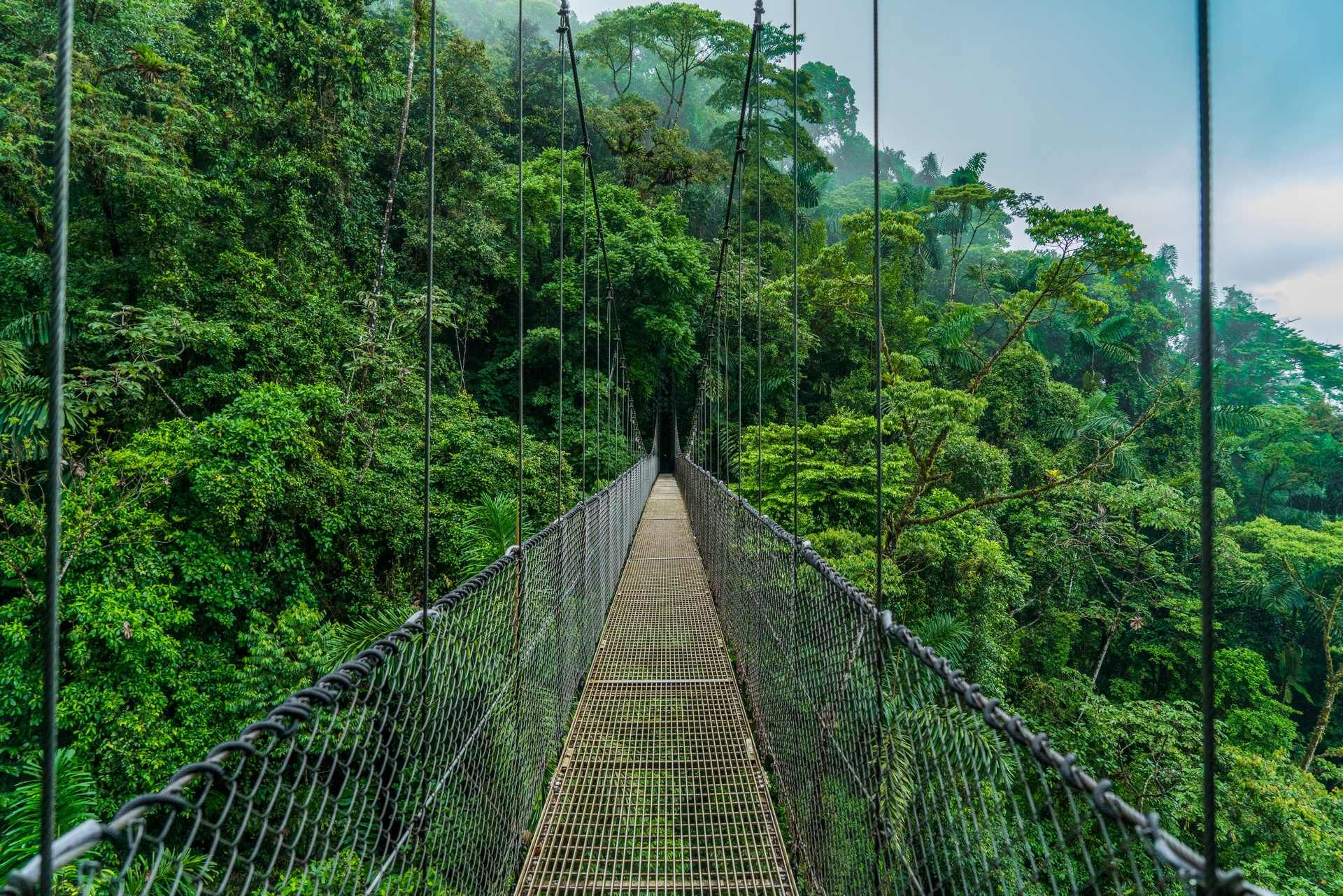 Cap sur le Costa Rica - 10J/8N - 2026 - Limité à 20 pers. pas cher photo 4