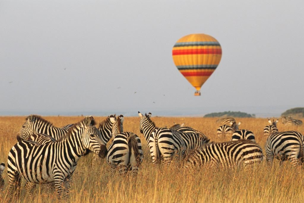 Safari Tsavo, Lac Naivasha et Amboseli 3* pas cher photo 5