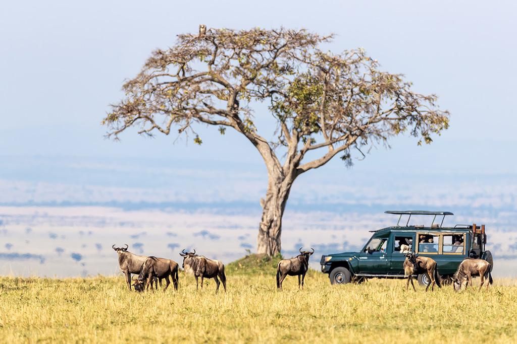 Safari Tsavo, Lac Naivasha et Amboseli 3* pas cher photo 6