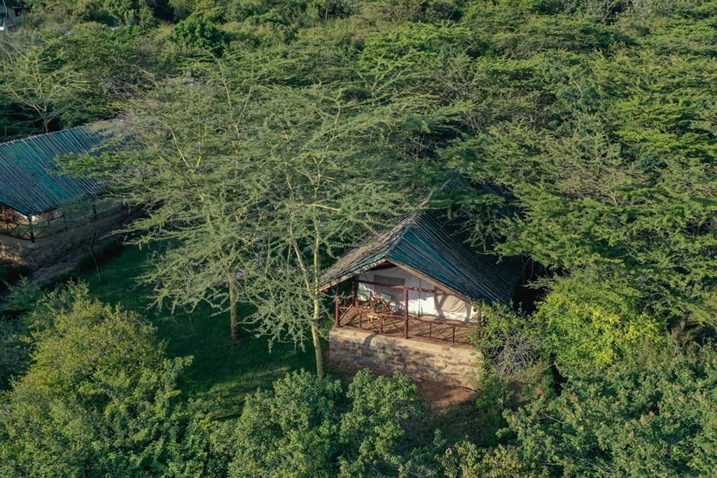 Safari Tsavo, Lac Naivasha et Amboseli 3* pas cher photo 9