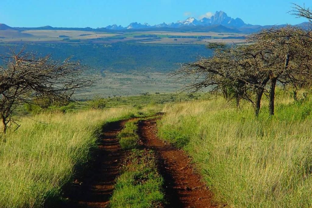 Safari Tsavo, Lac Naivasha et Amboseli 3* pas cher photo 13