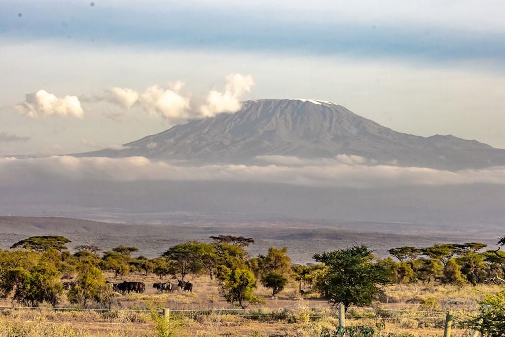 Safari Tsavo, Lac Naivasha et Amboseli 3* pas cher photo 14