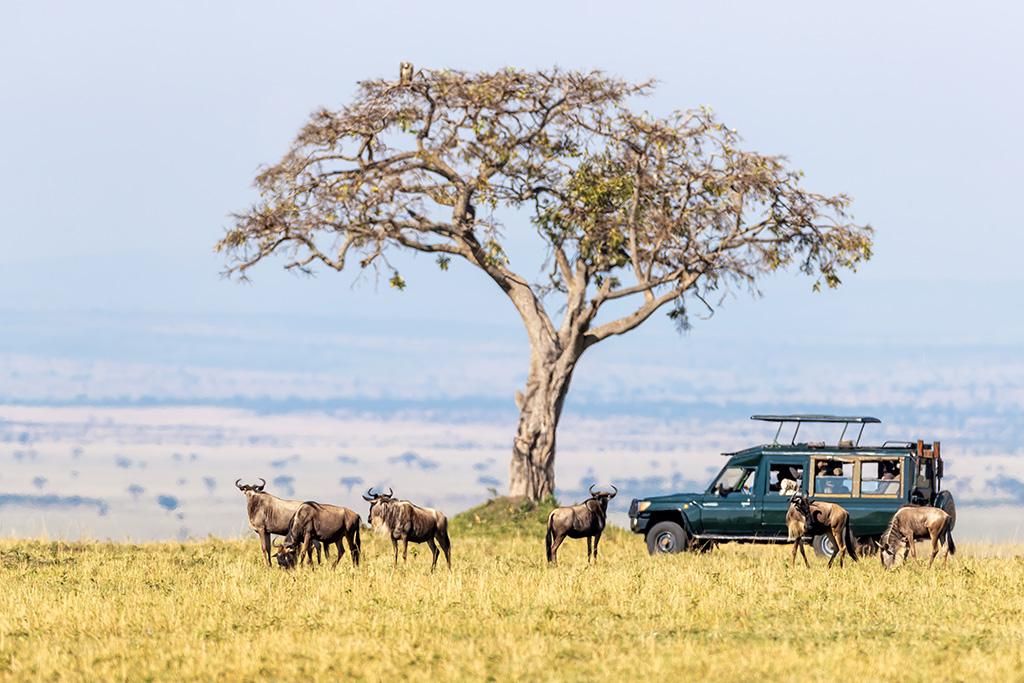 Safari De la Vallée du Grand Rift à Masai Mara 4* pas cher photo 8
