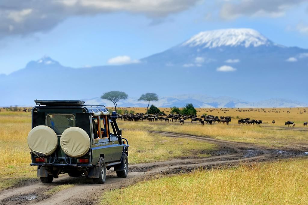 Safari De la Vallée du Grand Rift à Masai Mara 4* pas cher photo 13