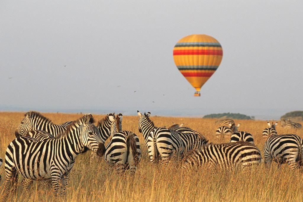 Safari De la Vallée du Grand Rift à Masai Mara 4* pas cher photo 15