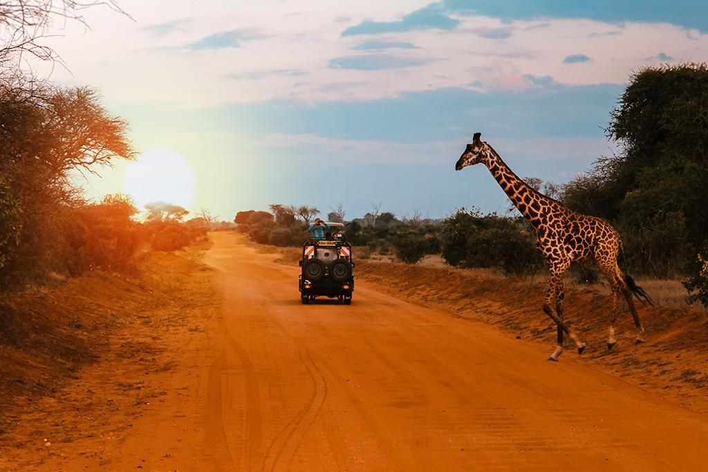 Safari Inoubliable au Kenya : Masai Mara, Naivasha et Amboseli 4*-5* pas cher