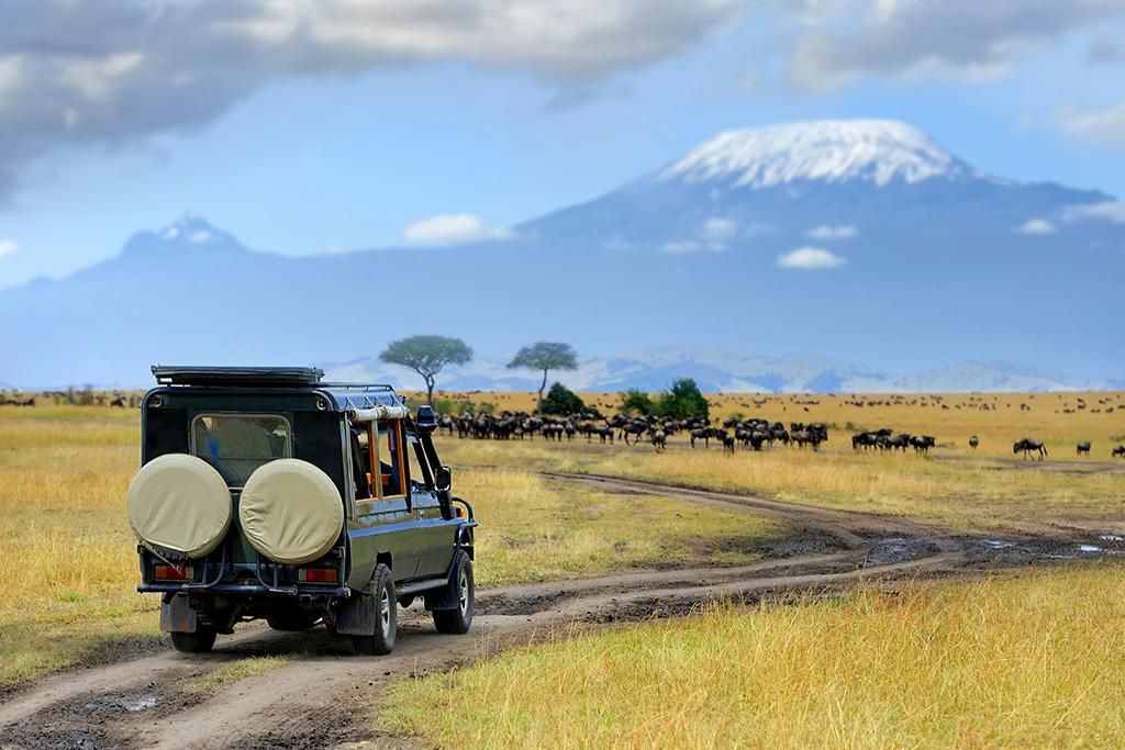 Safari Inoubliable au Kenya : Masai Mara, Naivasha et Amboseli 4*-5* pas cher photo 4