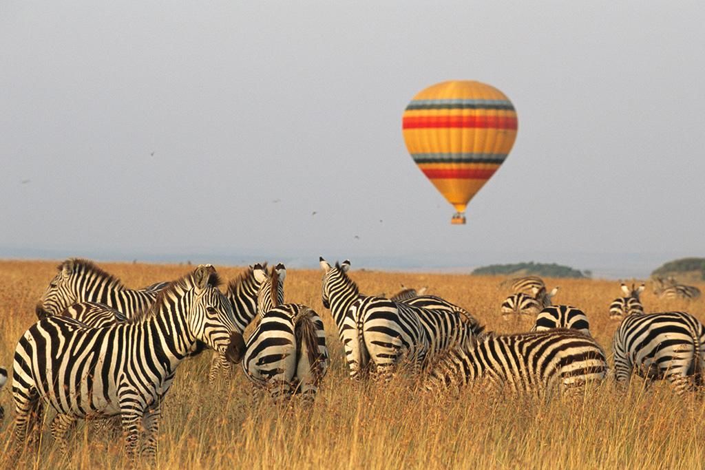 Combiné Safari Inoubliable au Kenya Masai Mara, Naivasha et Amboseli 4*-5* et Ôclub Experience Hôtel pas cher photo 5
