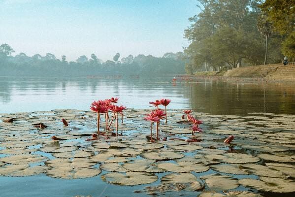 Circuit Angkor, Bangkok & Paradis de Phuket 4* + Vols Flex pas cher photo 7