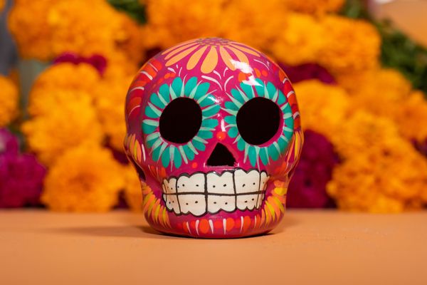 Circuit Spécial Dia de los Muertos : Fiesta en Héritage 2*Nouveauté 2026 2* pas cher photo 60