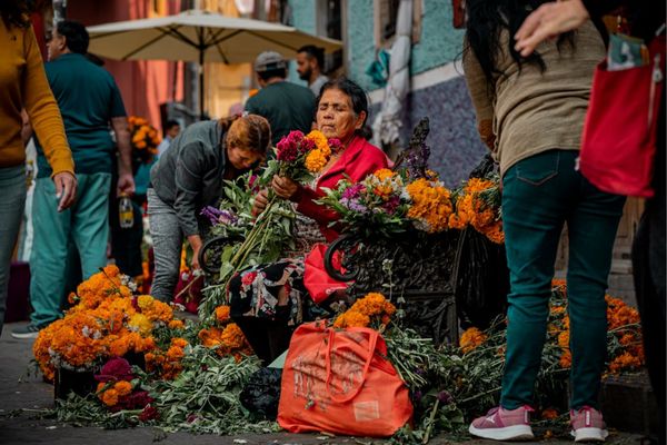 Circuit Spécial Dia de los Muertos : Fiesta en Héritage 2*Nouveauté 2026 2* pas cher photo 62