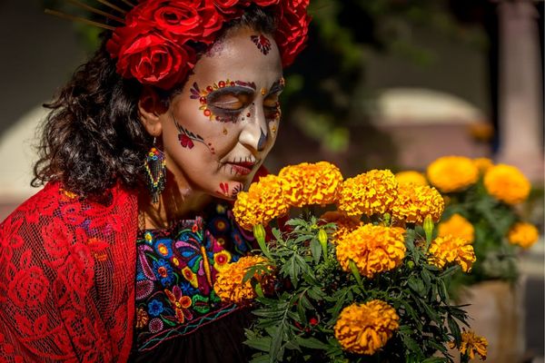 Circuit Spécial Dia de los Muertos : Fiesta en Héritage 2*Nouveauté 2026 2* pas cher photo 67