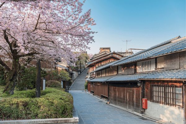 Circuit Capitales Enchantées en Liberté, de Tokyo à Kyoto pas cher photo 12