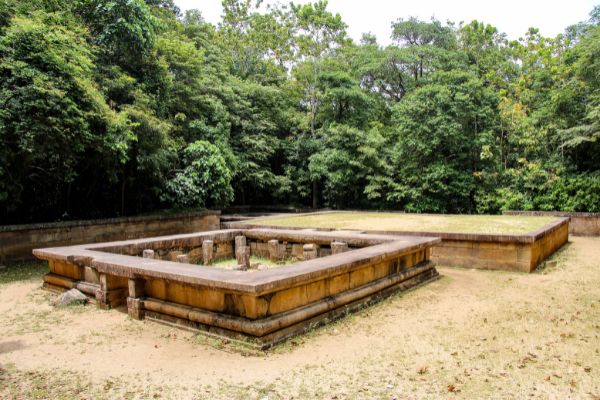 Circuit Le Royaume des Eléphants et plage en privatif pas cher photo 20