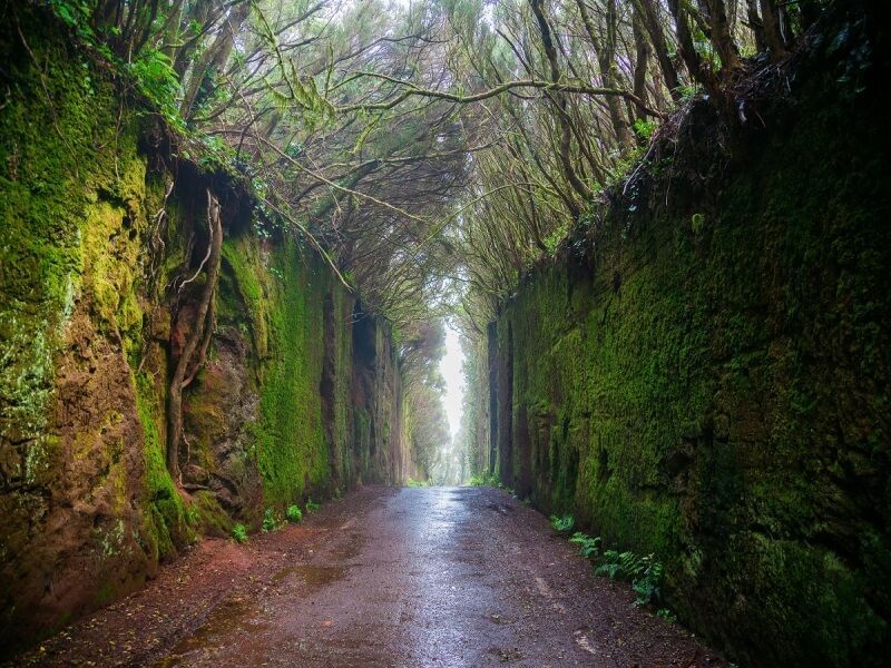 Autotour Ténérife Nord et Sud pas cher photo 1