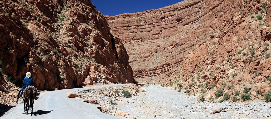 Circuit Grand Sud Marocain & Extension Valeria Dar Atlas 4* NL pas cher photo 5