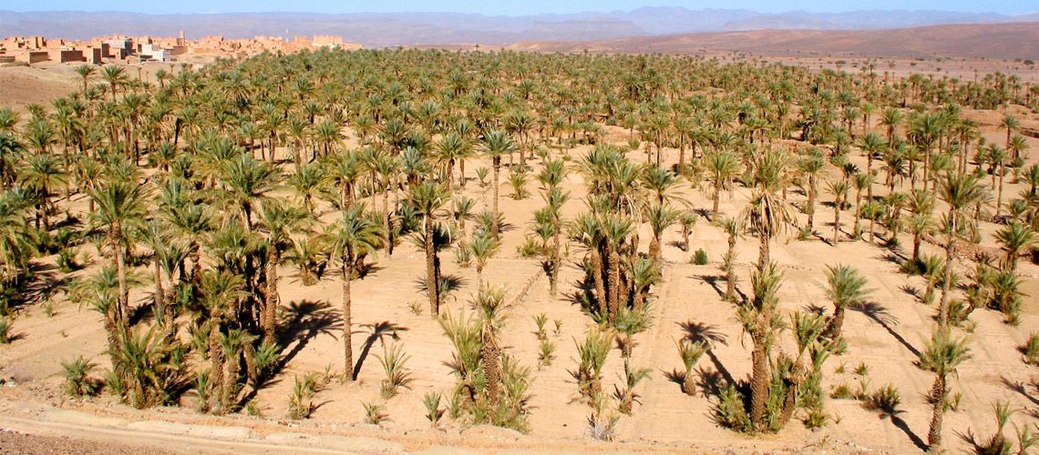 Circuit Coralia Grand Sud Marocain & Extension Club Coralia Marrakech 4* pas cher photo 17